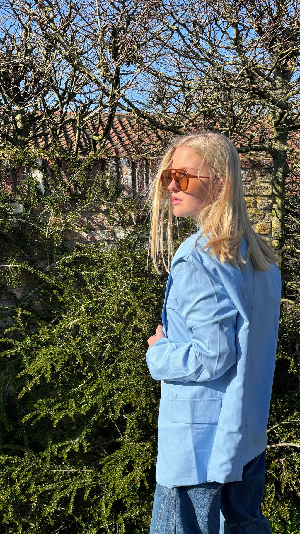 DIANE blazer